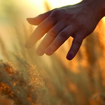 Extensive farming feeds the world