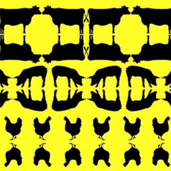 Comprehending the Scale of Factory Farming