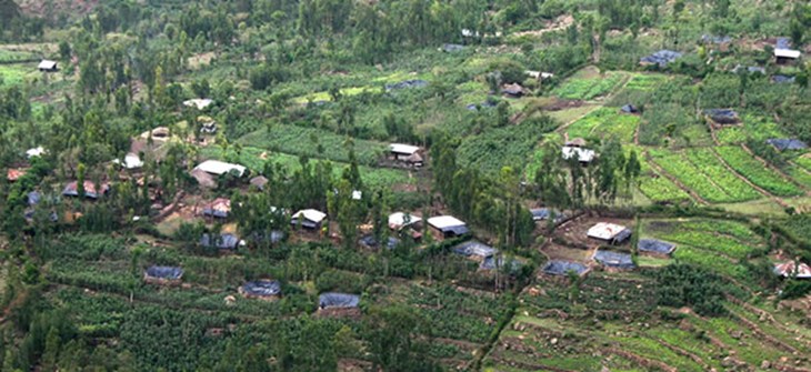 water_harvest_structures_in_landscape_2