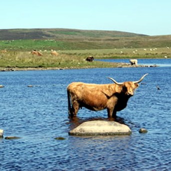 A Life Aquatic - The Link Between The Food We Eat and Our Water Footprint