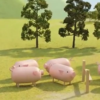 The Magnificent Seven – Our Favourite Sustainability Videos