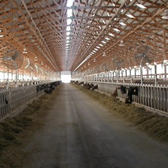 'Super farms' Good for the Environment? We Say No