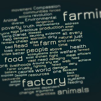 The language of our movement – why words matter