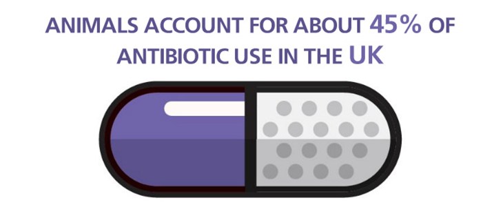 Animalantibiotics