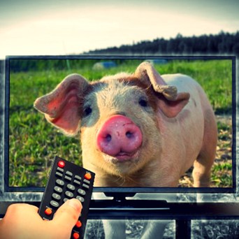 The rise of ‘Ag TV’
