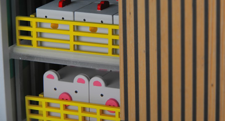 Chickens And Pigs With Door Obscuring View Cv1a9647