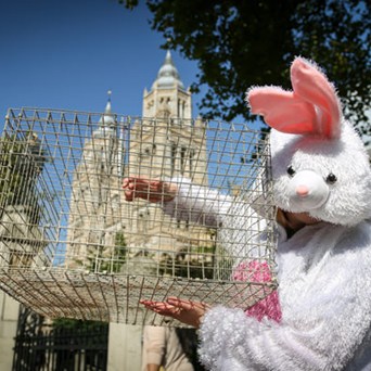 Cages belong in museums not on farms