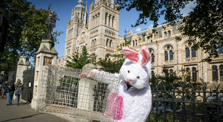 London museum stunt - Natural History Museum 2.jpg