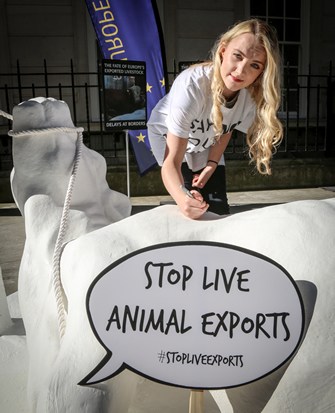 Live export protest Evanna Lynch.jpg