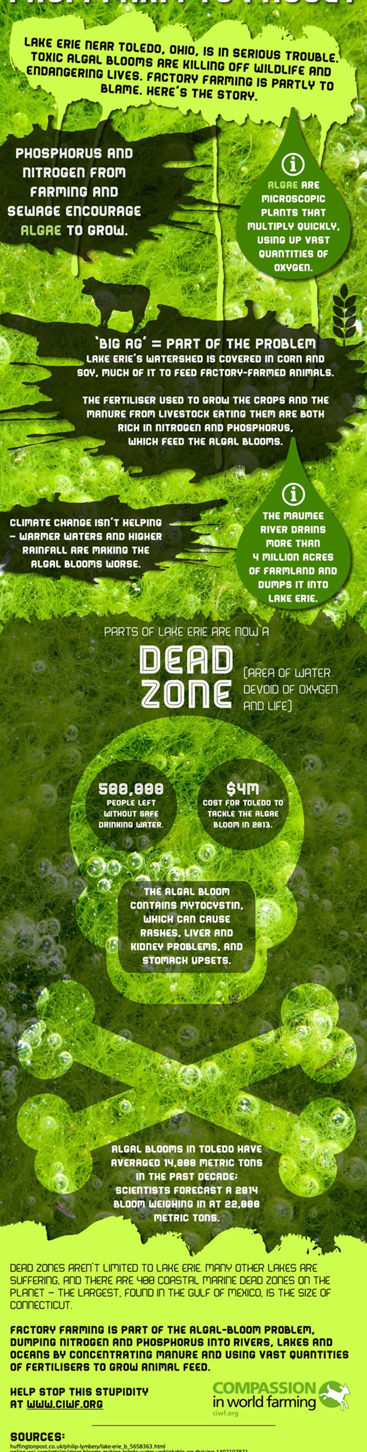 infographic_toledo_large