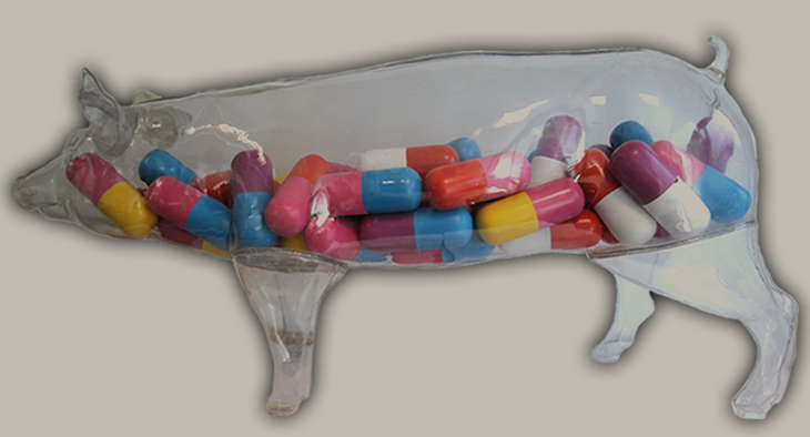 Factory farming's dangerous drug habit