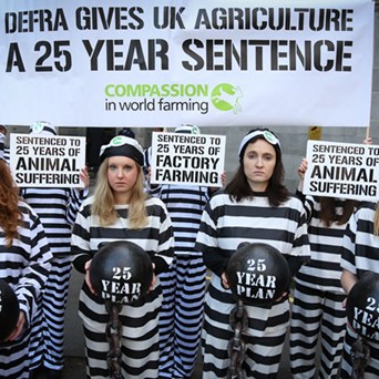 Defra sentences UK agriculture to 25 years