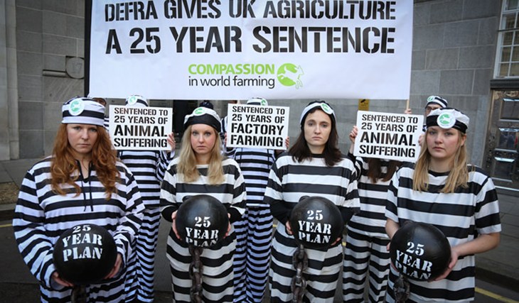 Defra plan stunt 1.jpg