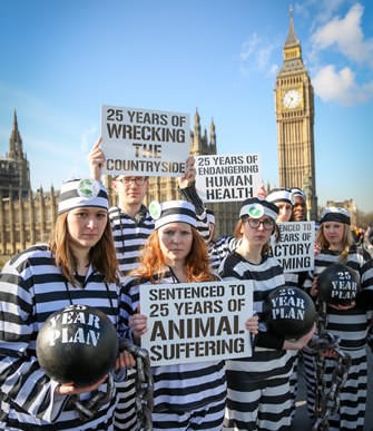 Defra plan stunt 2.jpg