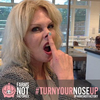 ‘Turn Your Nose Up’ at factory farming