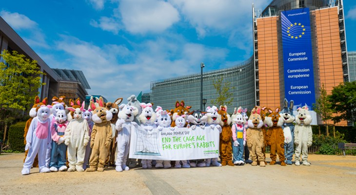 9993_232_Dann small.jpg