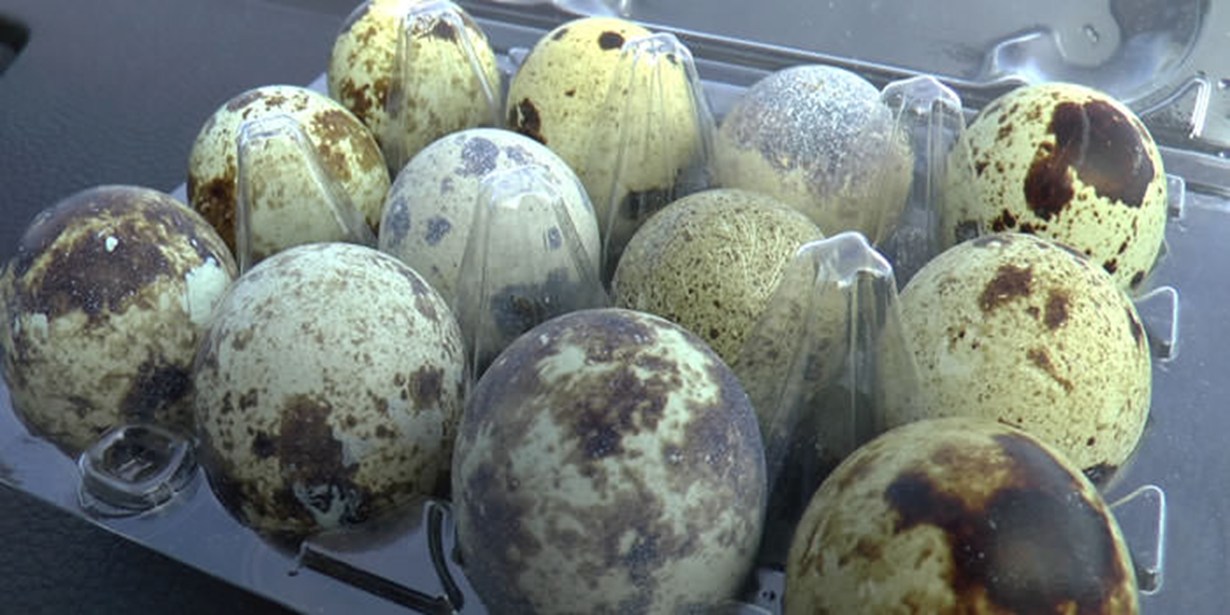 Greece - beautiful eggs, terrible system