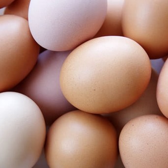Aldi to go cage-free by 2025