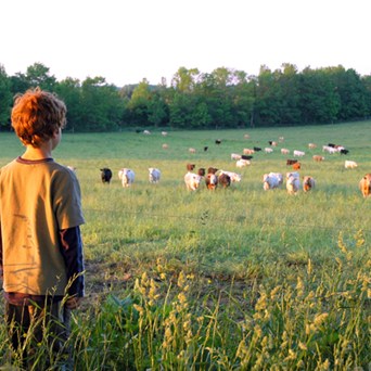 Positive steps towards sustainable food and farming