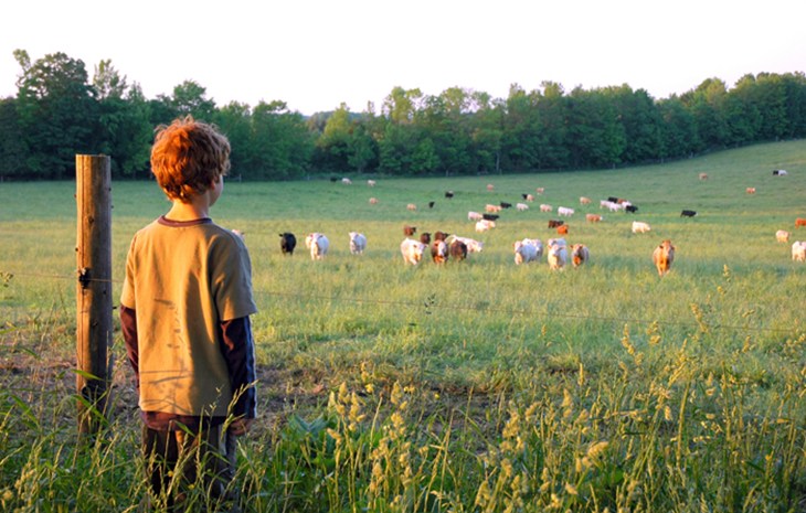 farm iStock_000003578012Small.jpg (1)