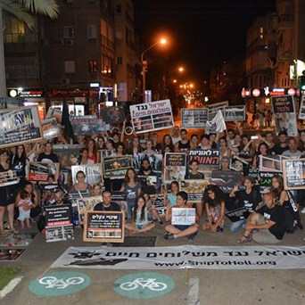 Animals Are Not Freight: the message is clear!