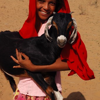 How can caring for livestock support people in need?