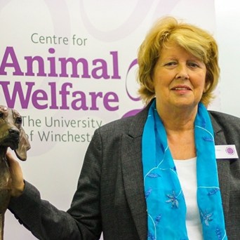 The religious imperative for animal welfare