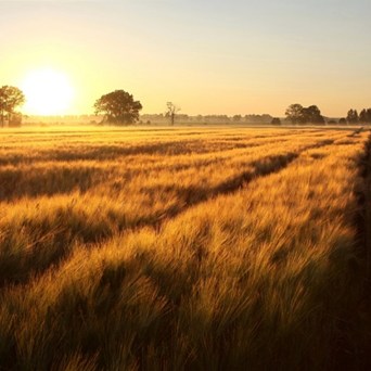 Compassion and WWF announce international conference