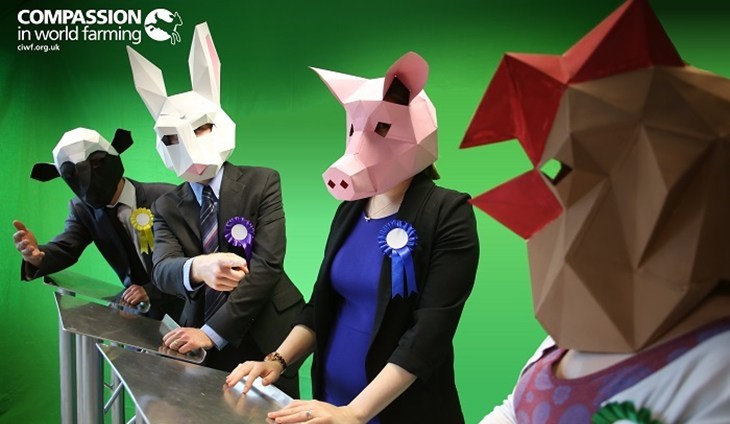 debate animals 700x424.jpg