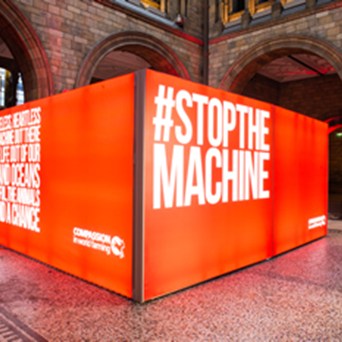 Compassion in World Farming launches STOPTHEMACHINE campaign with crucial message: if you care about wildlife, you should care about factory farming