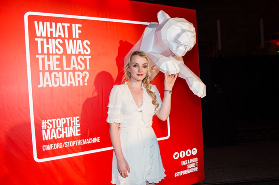 Stop the Machine Exhibition Evanna Lynch