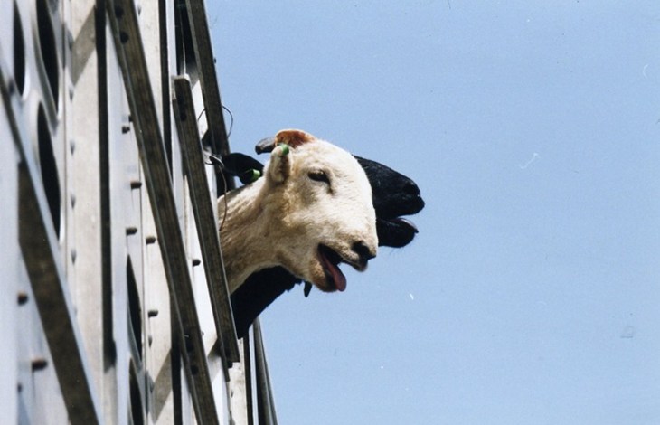 EuroGrp 1millsigs - 700x470.jpg