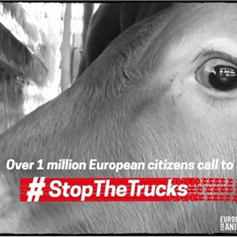 1 million strong #StopTheTrucks petition hand-in