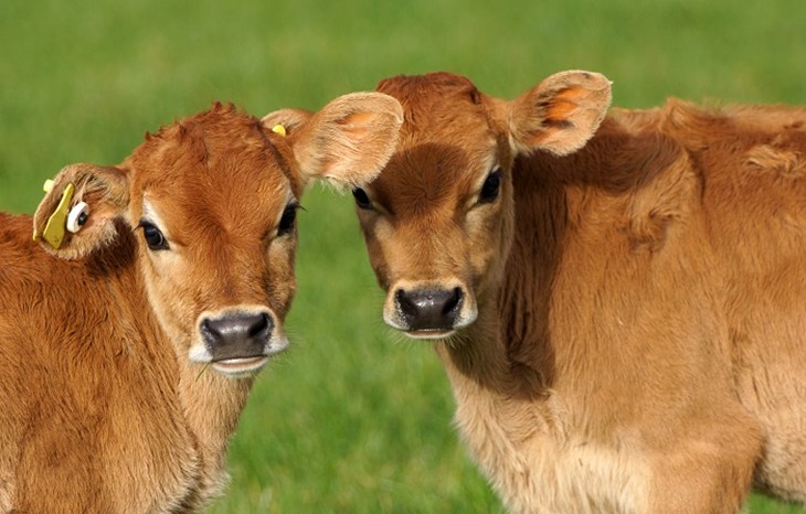 Lords report-700x466.jpg