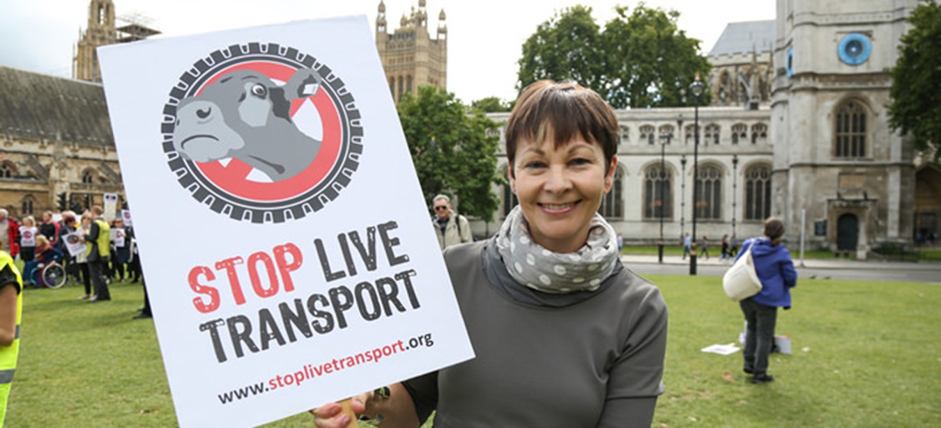 Caroline Lucas