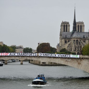 Stop Live Transport: International Day of Awareness