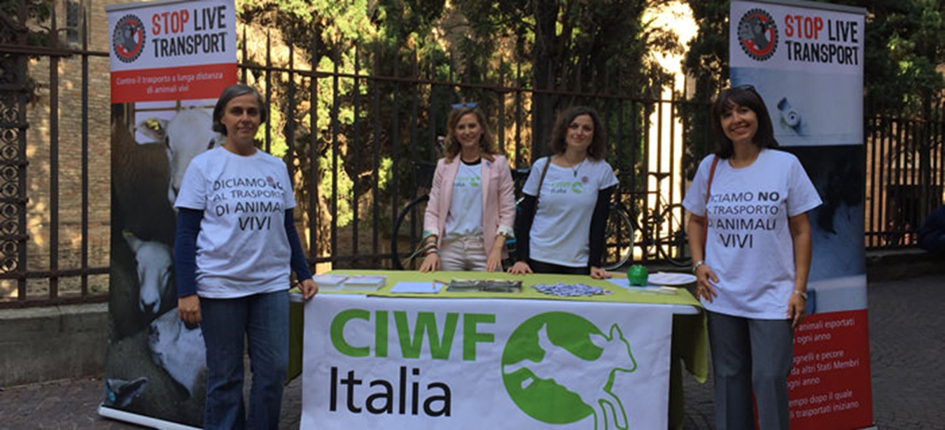 Street action in Italy