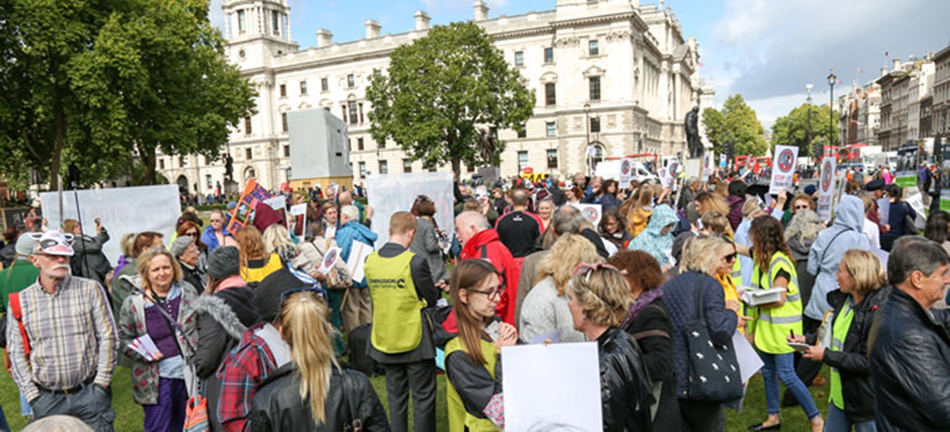 Protesters at Westminster