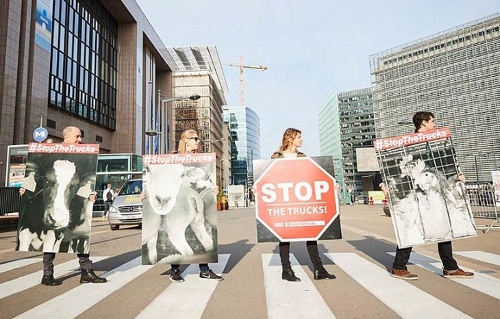 StopTheTrucks - hand in - 700x466.jpg