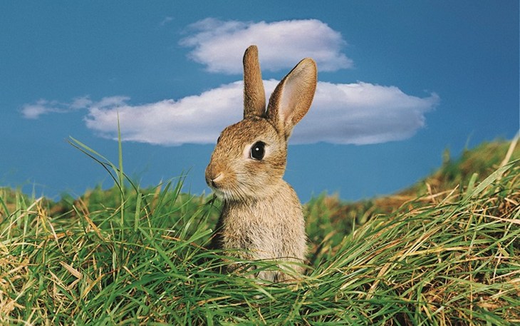 organic webnews- 700x457.jpg