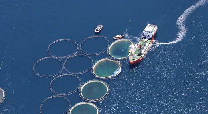 Fish farm.jpg