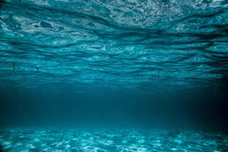 The sea seen from underwater