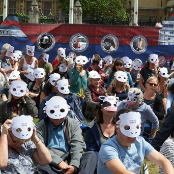 Stop Live Transport: International Day of Awareness 2018