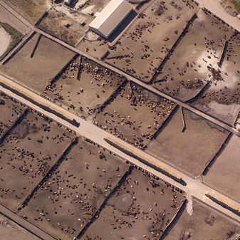 Ending factory farming - End.It