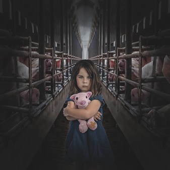 End the Cage Age