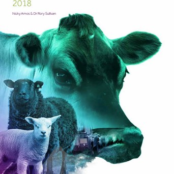 New report on food businesses unveils global leaders on farm animal welfare