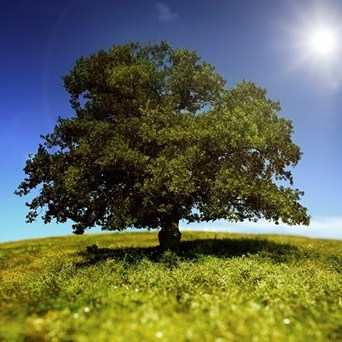 New UN report calls for urgent action on all fronts