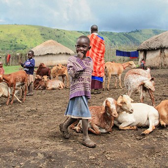 Compassion at the UNEA-4