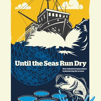Wasteful and unsustainable: the use of wild fish to feed farmed fish is causing huge environmental and social damage