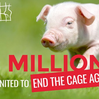 We’ve made history for farm animals!